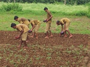 agri diploma students