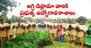 Agri Jobs in Govt Sector - govt jobs for agri diploma holders