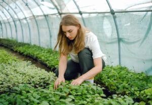 BSc Agriculture course