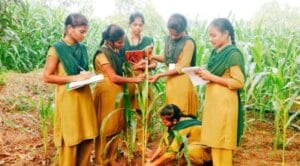 AGRICET for BSc Agriculture - After 10th Agriculture Diploma Courses