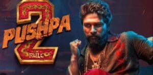 Pushpa 2 The Rule Collections
